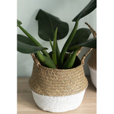 Cesto Origin Pequeno Com Alças Laterais Yoi Cesto Trançado Seagrass Natural E Branco